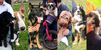 ¿Tienen mascotas los candidatos a la Alcaldía de Tunja?