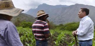 Preguntamos a la IA sobre ‘las victorias’ de Carlos Amaya en su lucha contra la pobreza y el desempleo