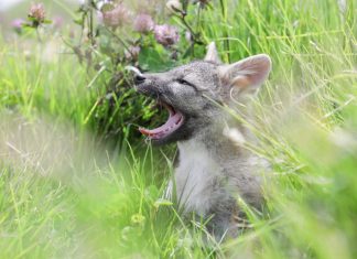 ‘En la vía, todos somos vida’, nueva campaña de Corporboyacá