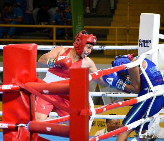 Cuatro boxeadores van por el oro