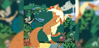 La Nencatacoa, el zorro que se convirtió en la imagen del FIC ‘Territorio sublime’