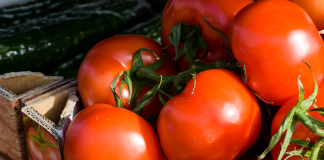 Feria Agrícola Nacional de Tomate en Sutamarchán