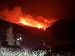 Voraz incendio forestal se registraba anoche en jurisdicción de Sora