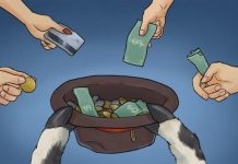 La vaca paraca y otras vakis