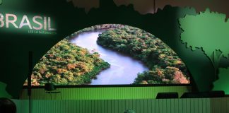 Dos lenguas que desembocan en el Amazonas: el portugués y el español