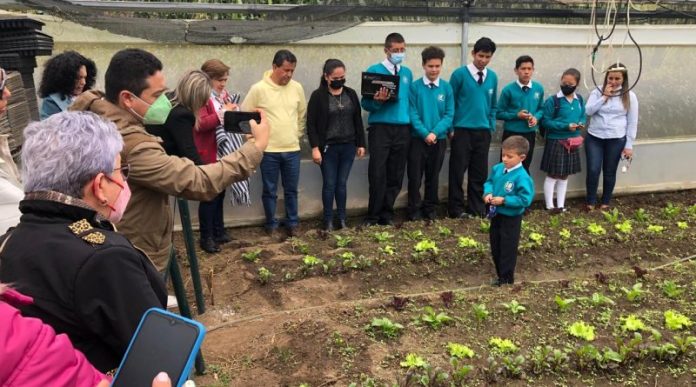 b84cb272-4e6b-42cf-9753-fca94de44716-800x445