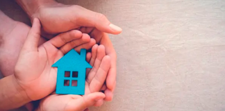 Abren convocatoria para conformar hogares de paso en Tunja