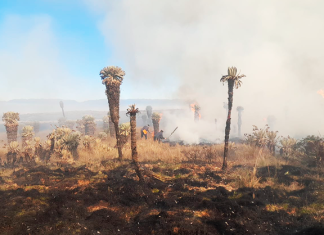 Piden apoyo aéreo para controlar incendio en el páramo