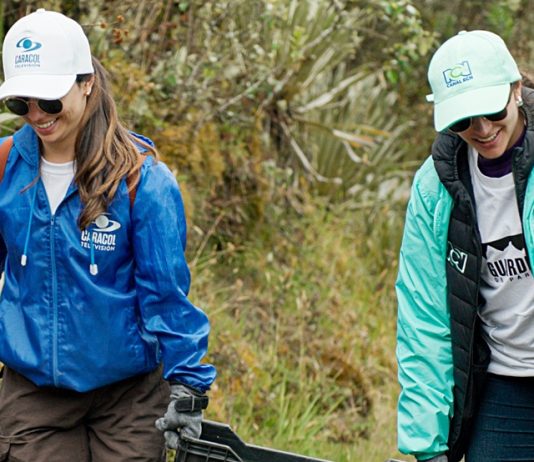 Marcas rivales se unen para sembrar frailejones junto a Interrapidísimo