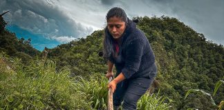 Sigue abierta convocatoria del programa Sembrando Vida para que organizaciones campesinas presenten proyectos productivos