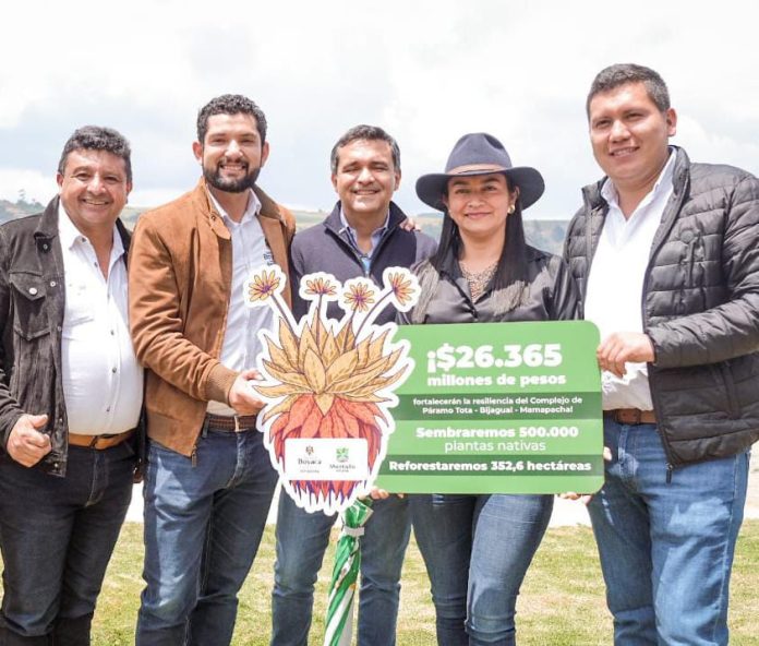 Imagen de WhatsApp 2025-03-14 a las 11.48.01_8edacfc3