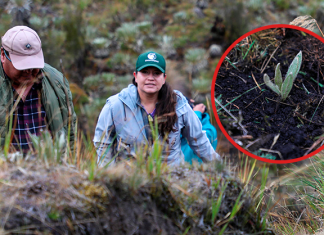 Corpoboyacá hace parte de ‘Guardianes de los páramos’, la estrategia de Interrapidísimo.