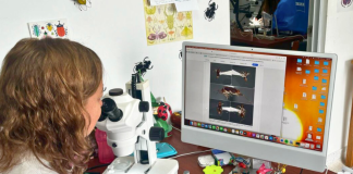 Chinches de agua investigación en la que participa la UPTC y que vincula a ocho países