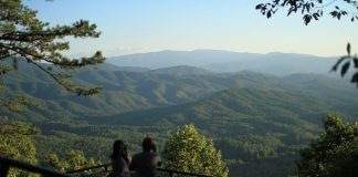 Paz y reconciliación entre el ser humano y la naturaleza