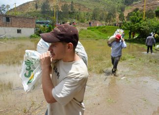 Nobsa refuerza acciones ante emergencias por temporada invernal
