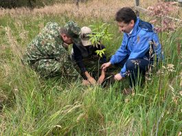 Primera Brigada del Ejército Nacional participó en jornadas de siembra en Boyacá