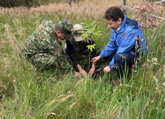 Primera Brigada del Ejército Nacional participó en jornadas de siembra en Boyacá