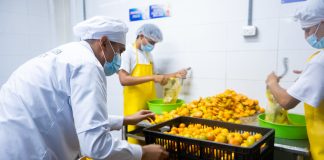 Gobierno abre convocatorias para que mipymes mejoren en calidad