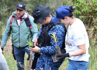 Urbaser y entidades locales restauran el Páramo Pan de Azúcar con 500 nuevos árboles