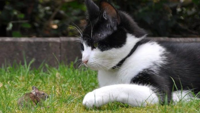 Imagen de WhatsApp 2025-06-13 a las 16.11.21_fb45ccc9