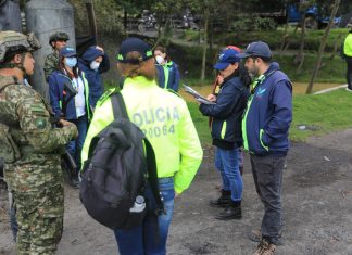 El caso de los cuatro árboles de roble talados por una pareja de campesinos de Chiquinquirá que llegó hasta la Corte Constitucional