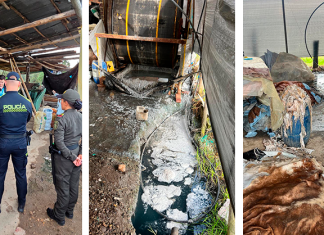 Autoridades suspenden descargas contaminantes de una curtiembre de Chocontá que afectaba la cuenca alta del río Bogotá
