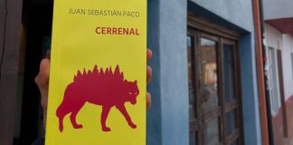 Las diecisiete sílabas de Cerrenal