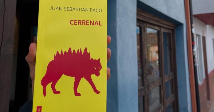 523507822_17973993305878593_6818850771082551621_n