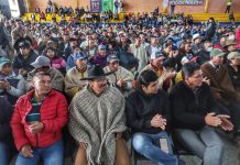 Estos son los alivios que tendrán los productores de papa de Boyacá