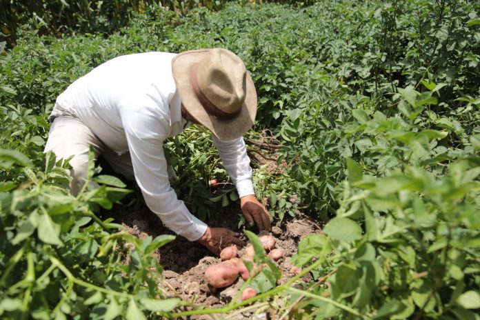 Imagen de WhatsApp 2025-07-29 a las 12.21.53_67e8de47