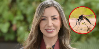 Docente de la Uniboyacá descubre virus que podría frenar el dengue y la fiebre amarilla