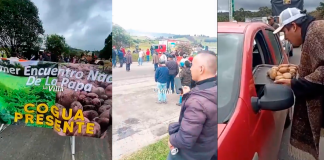 Seguirán las protestas de los cultivadores de papa