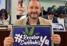 Pedro Suárez Vacca y el proyecto que regula el uso adulto de la marihuana