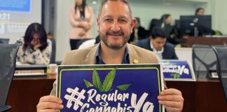 Pedro Suárez Vacca y el proyecto que regula el uso adulto de la marihuana