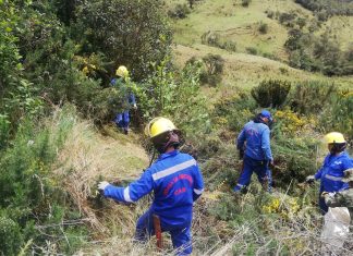 CAR endurece medidas de compensación para obras o proyectos que requieran permisos ambientales