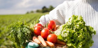 Gran oportunidad académica en la Región Central: Diplomado gratuito en Corredores Logísticos Regionales