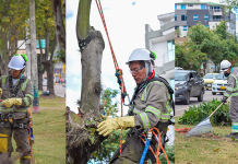 Urbaser Duitama inicia el primer ciclo de poda urbana del 2025