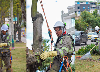 Urbaser Duitama inicia el primer ciclo de poda urbana del 2025