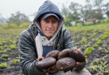 Pequeños productores ya pueden inscribirse en el Directorio de Abastecimiento Nacional de la ADR