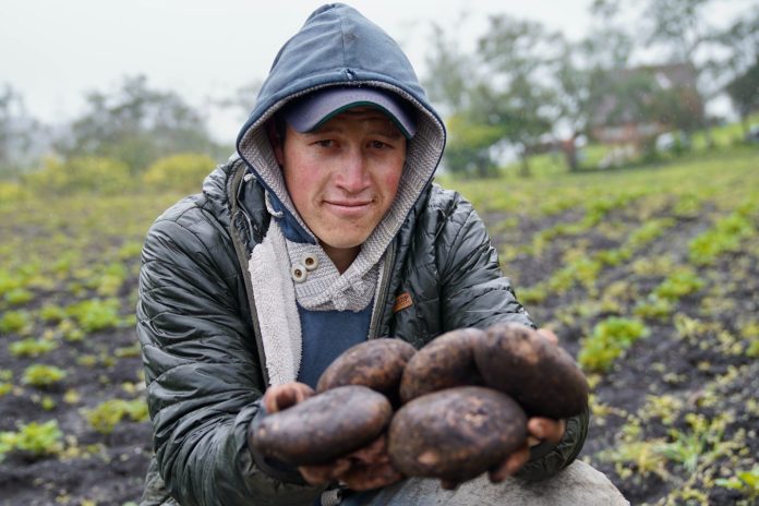 campesino papa agricultor