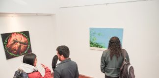 XX Festival de las Artes – Cultura y tierra para cosechar la vida