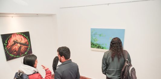 XX Festival de las Artes – Cultura y tierra para cosechar la vida