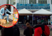 Colecta Rock Vol. 3 regresa a Tunja con causa social y bandas internacionales