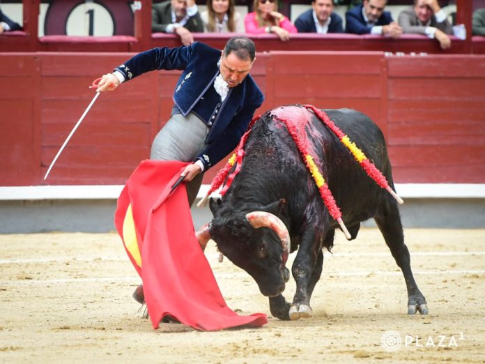 CESAR RINCON FESTIVAL