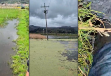 Denuncian presunta responsabilidad de Corpoboyacá en la contaminación del Lago de Tota