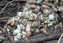 Incendio forestal en San Miguel de Sema tendría como causa la quema de pañales y basura, según la CAR