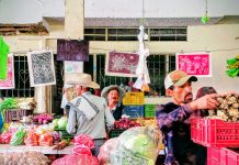 Festival Resistencia Agrarista 2025, por la memoria rural y la creación colectiva en Boyacá