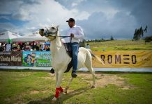 Mikhail Krasnov: montó y tampoco se dejó tumbar del caballo