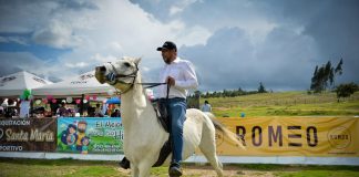Mikhail Krasnov: montó y tampoco se dejó tumbar del caballo