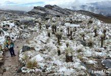 Así fue la nevada en la Sierra Nevada de Güicán